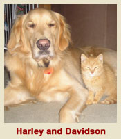 Lifeforce Healing ~ Lifeforce Harmonious Healing for People and Pets - Animal Communication clients